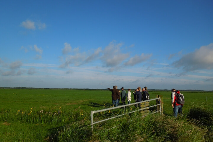 Vroege vogelwandeling