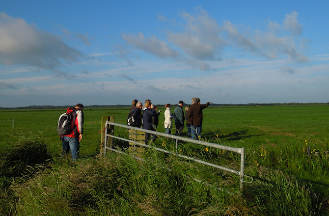 Vroege vogelwandeling