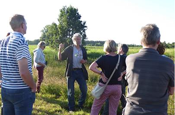 'Henk van Zijtveld' zoddenwandeling 2025