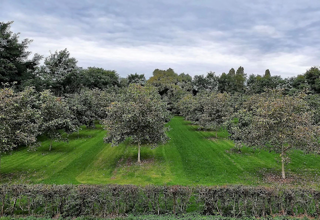 Deelnemen aan agroforestry proefproject?