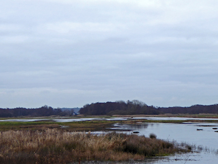 Winterse stamppotwandeling in Tienhoven